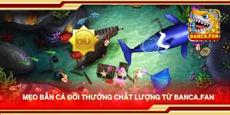 Mẹo bắn cá đổi thưởng chất lượng từ inmch.org.mx